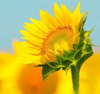 Feae7bf0aed2b2cd60c370eee5fc9a5dee5fde7a