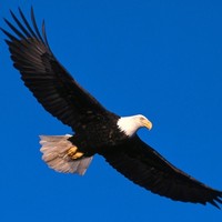 55893bfb8e8addeeced07af10a10424b8ac69bec