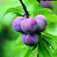 Bed816536fd5ede3757ccaf1a771fa124d42cc20