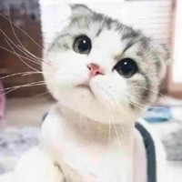 0b36b0a679fb51af6811493e437dfab9a992d745