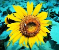 84dd7c578f988f8b88a6450dca0f48edfd82900c