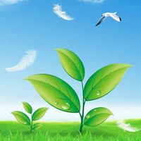 D9ea70d21945d22054955dc3d009fab5f005f24d