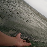 E0548c2bd98b628f8fa201398b2242c0ddd1f623