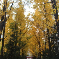 Cf28ded27d41bc27f8350fcff5e613d1f776fde0