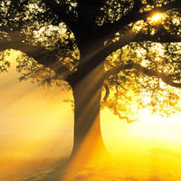 86188e826f3e8e1ee095af8df8f4aa78ec146d23