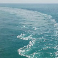 C7198018f7782cee0ac18be59545120391307564