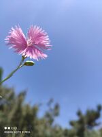 4d01057bbff866426afdf9e624ac47c846d34b67