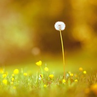 Bd870fa785f6c7f2c6a6fe302e2a4c38453c4f6d