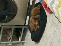 6250209f88799af018f510c1bdfbef35ae11bcb6