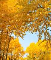 6648925290d4fae7b5b2d9f291a93ef744125651