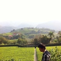 7f7c929015e595bb823fd43a955233c1d7b0df33