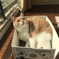 9643a4d9d90227fd9a656b4b0fe1ff65357d032d