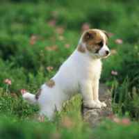 D84b5b76843b492f2309b60f737104816a55641f