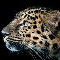 13c3364093aee682e71a73635898dac2185f7b7f