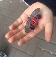 Afcb0eafa5400362d2e99816c47f92b6476d5a32