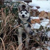 D2da0436fb51233cd6446ee965b1d6e8e688ea39