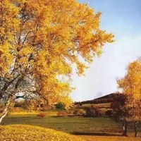 C08edee74428382fac6ba994764a3defc2da23b8