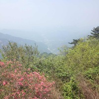 211936035119013e7b7fd6f5788ae4393020584e