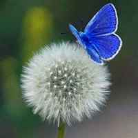 F62431f2e95e8f47fe8e5e1129e3983b84911f75