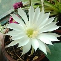 18ed13b04f23b2dd889bef8184622188f2602980