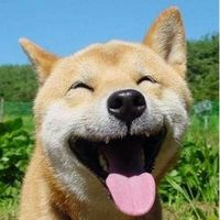 E73f4bfdf4eaaa926bea9dff6d3c6ff34f1fefd7