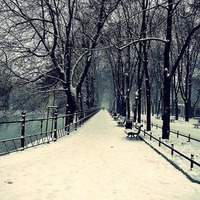 2ced30b2c19d125ed436245e91af5b44b68b2717