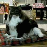 2f66c70eb825dc5fc4ea9df71fd8fa57a82f7d76