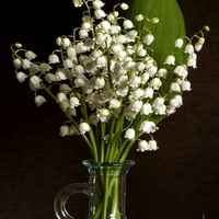 8aebfc3a4b9c625d4c315c5a4ae2371983de5cfb