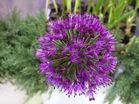 D834f811849473d166206cb7153f5725a796c620