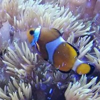 9cc0faa6ea2b080e14e9575030802a0085f54757