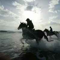 E0f7881ccd6085ac213fb8c5bea9030cef5a1130