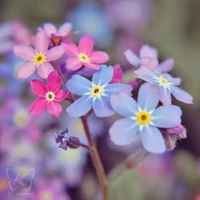 2ffc945b0b15fbca61aeea8b8c22990263be8c37