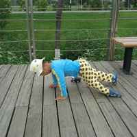 9afba1c7bf6d47fa31a13baf181e3015428d891c