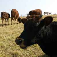 D27d305235534c5245b5bc5ccb9157a90326a367