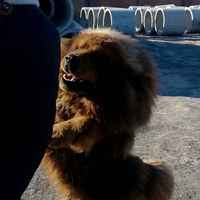 0c3ed6980aa40cfe6cde69403e39e740b55b94cc