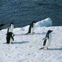 3b85f42694c4bfcf375a162412570646b3d4fa2f