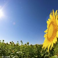 33f007a13fe2587bb09b473eaba5cfe2ce4cbc0b