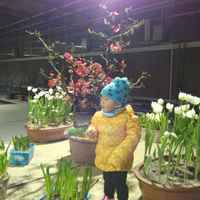 74427d977d5b3324a2787278d1658d02447ae7be