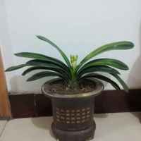 Fbb2e39265bd9f87786dad1038dc97ea04ed3e53