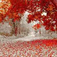 Ee1117c41d14f81b8d676ae66204016385dbe5a6