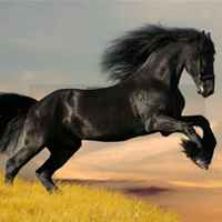 F5a8b965939df3786a759cb436ded9e5d5649b3a