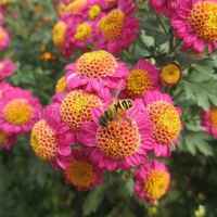 6bae78d1bb987046ad4f2c17ef9c7291e608a093