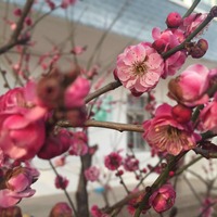 B6e68d9fc7fb5b87c9f0a4cf7eec4b21ba9a8552