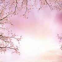 3005e7fafd684bc75e2404f0f6c47a5a250d159c