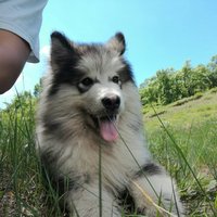 3312bd9bd40983c8f5989007ef7a88deac6093b0