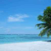 85c8862052bd6ec4dace342f51d50c0f9f0ca972