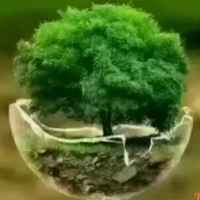 8fcfeb1e78d13b85a146222f0ac8933021faadd0