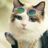 1252f33cde3111a35effb9e0aae9a2f9b56a2546