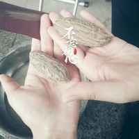 050cafffde6231aa6c6223c790e1f13a8fa5cbfc