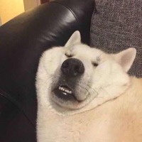 39bb47c4240ffb054c8c2cc8822a4c65de2cfed1